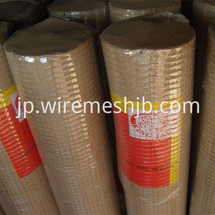 1'' Welded Wire Mesh